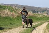 ENFANT ET CHIEN 297